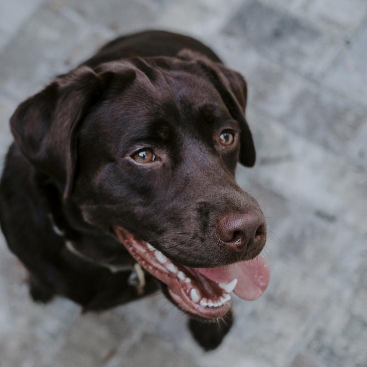 Landscape day trip near Delft, Netherlands